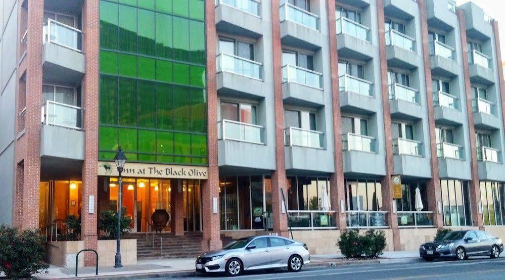 Inn At The Black Olive ボルティモア エクステリア 写真